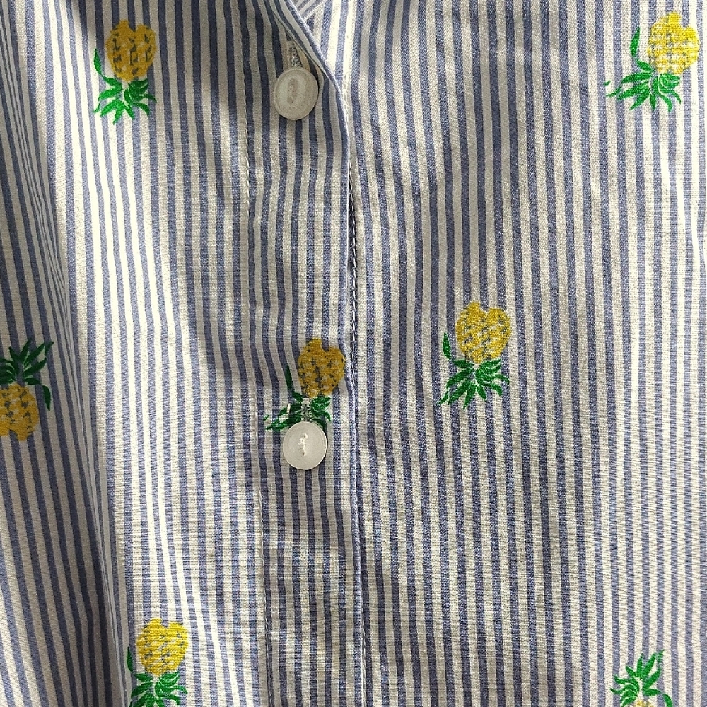 Perseption Striped Shirt Dress with Motif Pineapple Accents - Picture 3 of 6